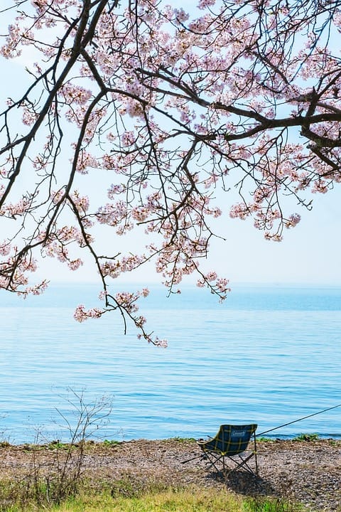 KvFive: Beş Taraflı Futbol Sanatında Ustalaşmak İçin Nihai Rehber 1 lakeside 7900306 960 720