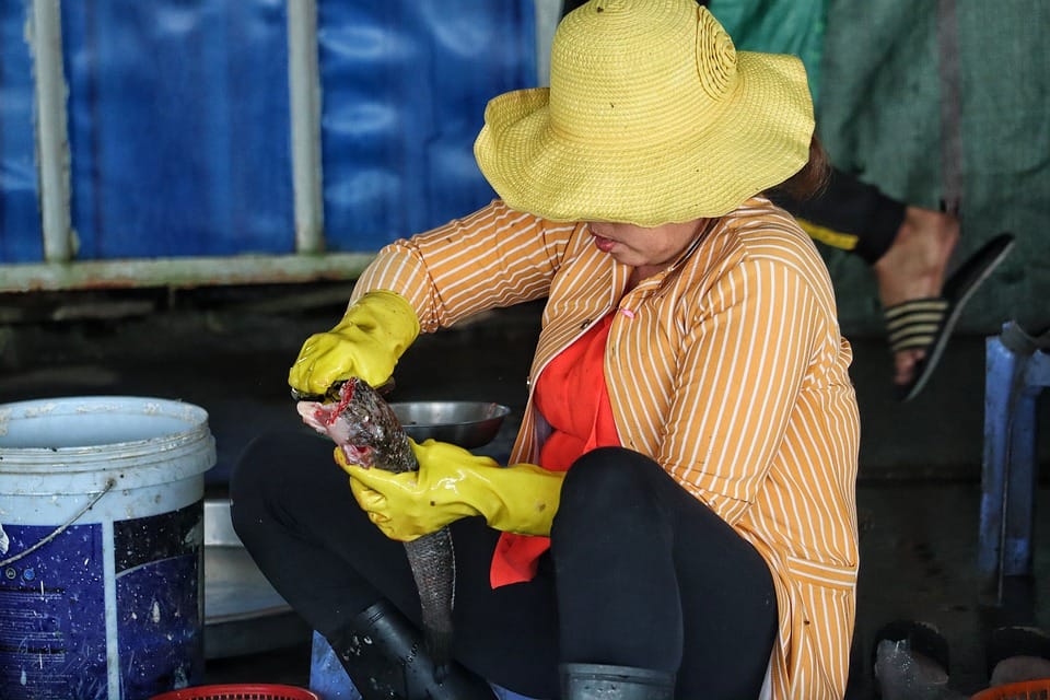 La guida definitiva ai kit di coltelli tascabili: Guida per principianti 1 vietnam 4889644 960 720