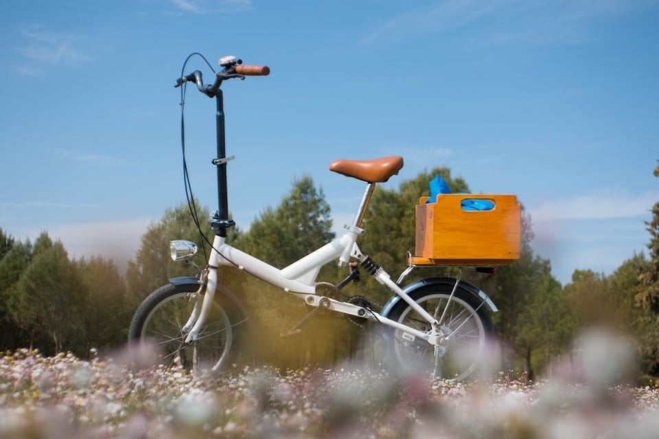 Den ultimative guide til at vælge den bedste foldekniv til dine behov 1 foldning 4660108 960 720